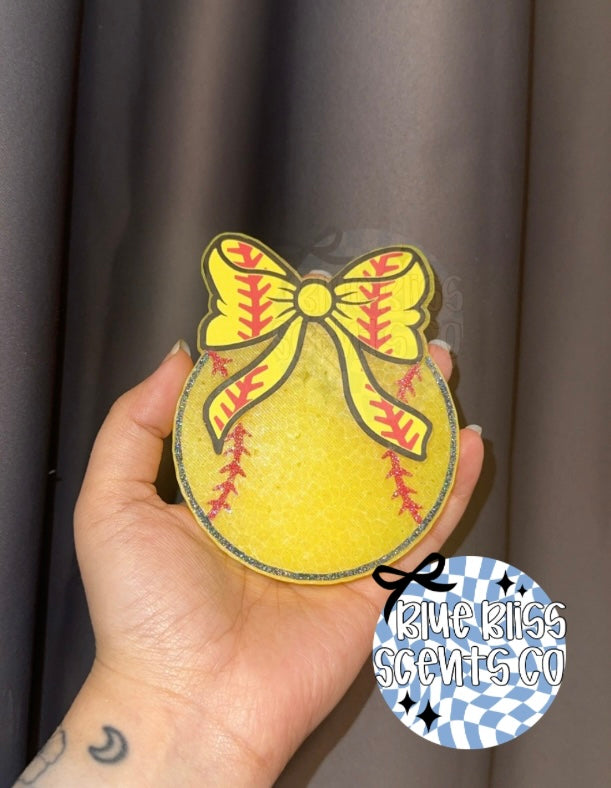 Sports Ball Freshies